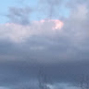 Meet your Posher, Kristin